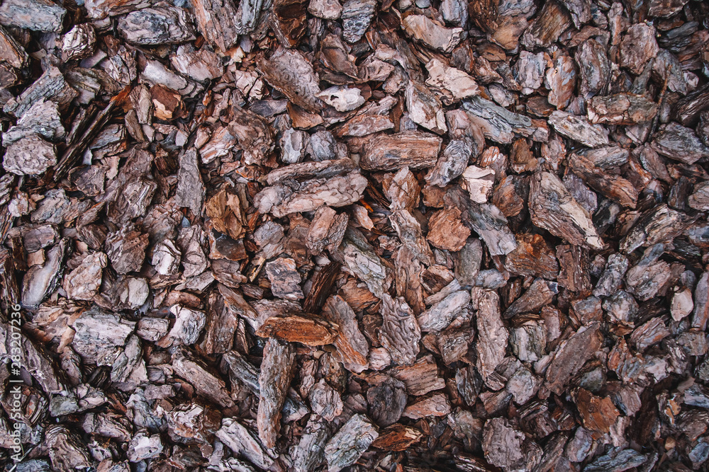 Background from coniferous tree bark pieces. Abstract background texture. Top view. Background from coniferous tree bark pieces. Abstract background texture. Top view.