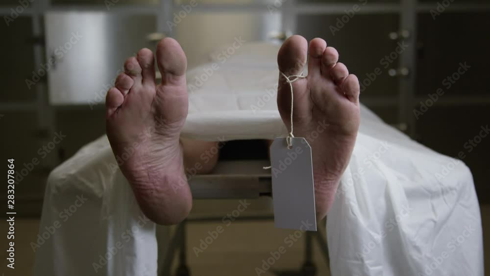 Scene in a modern morgue - body on gurney Stock Video | Adobe Stock