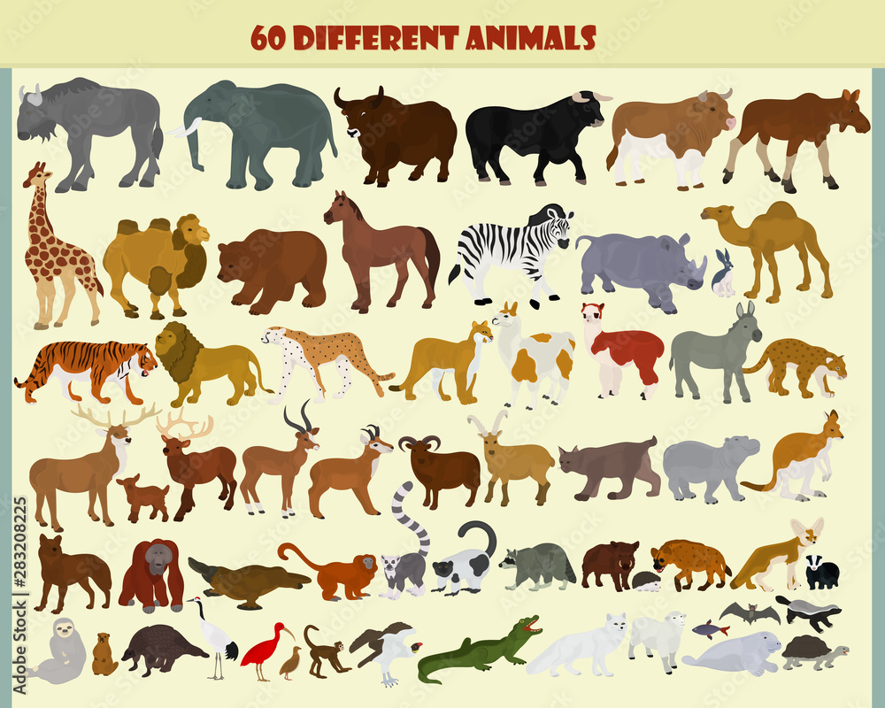 Wild animals collection on a light background
