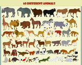 Wild animals collection on a light background
