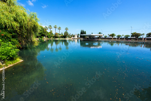 Park with pond. blue water. palm trees on the shore