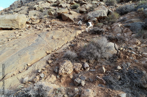 Wallpaper Mural DCIM\100MEDIA\DJI_0011.JPG Torontodigital.ca