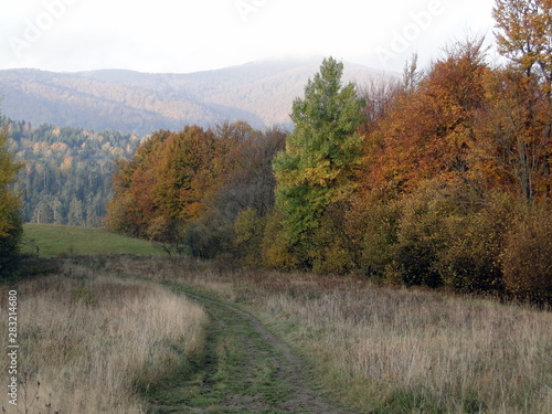 Jesień w Bieszczadach, Polska