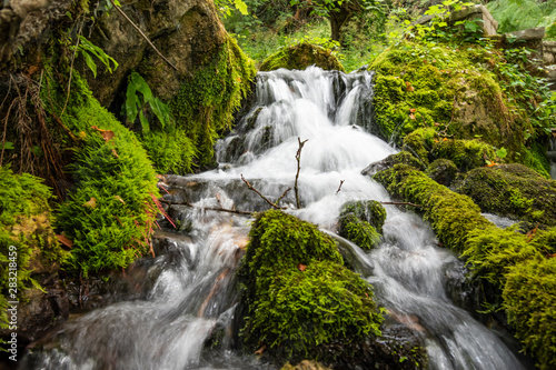 The Cold Water spring of Tepelena City.