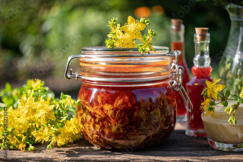 Preparation of St. John's wort oil from St. John's wort flowers