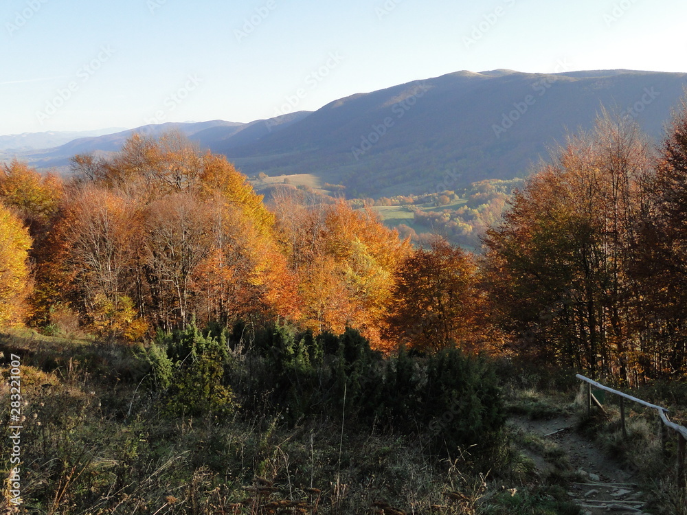 Fototapeta premium Jesień w Bieszczadach, Polska