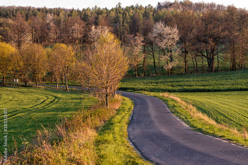 Obraz premium road in Spring