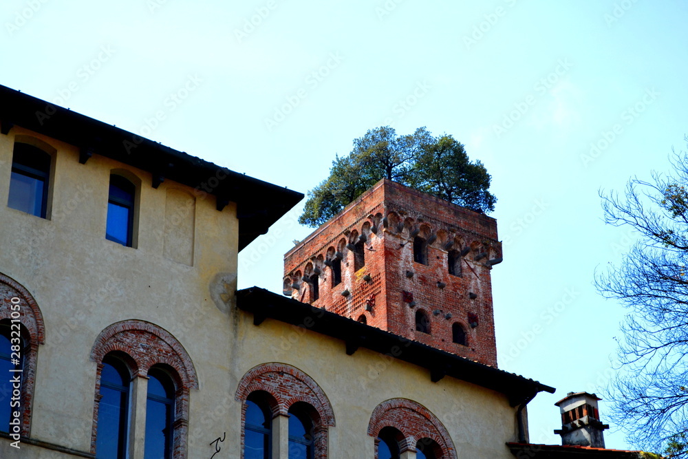 View of the Italian Tuscany Town of Lucca Italy with a Red Brick Tower Topped With Live Green Growing Trees