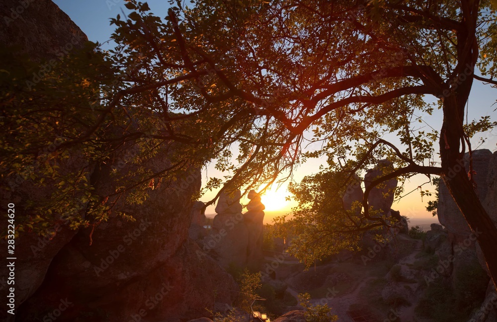 Sunset in mountains, view through trees Sunset in mountains, view through trees