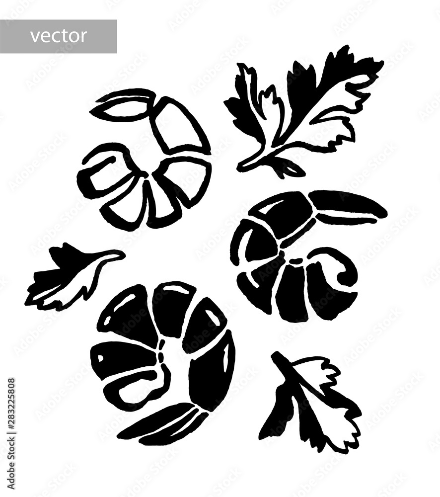 Shrimp, prawn. Seafood, rosemary, greens, parsley. Ink hand drawing. Food, vegetables and fruit isolated on white background. Book illustration, recipe, menu, magazine or journal article.