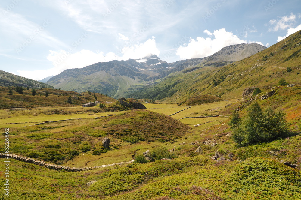 Obraz premium OLYMPUS DIGITAL CAMERA