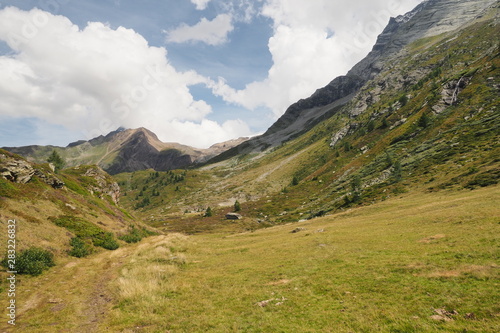 Wallpaper Mural OLYMPUS DIGITAL CAMERA Torontodigital.ca