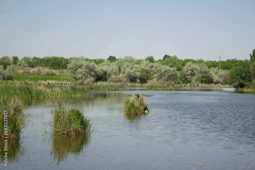 lake in forest