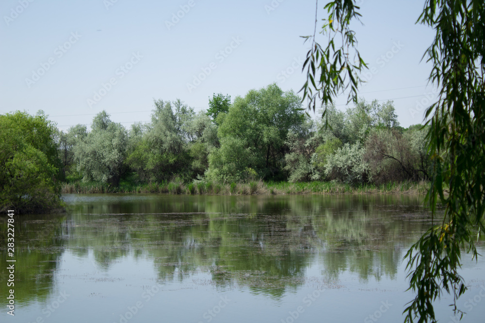 Obraz premium lake in deep forest