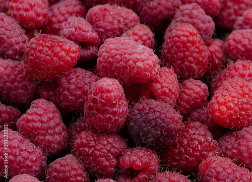 fresh raspberries on wooden background