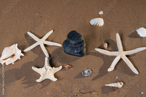 Canvas Print Spa composition - stacked Basalt Stones, Seashells and Sea Stars on the beach at sunrise in front of the ocean