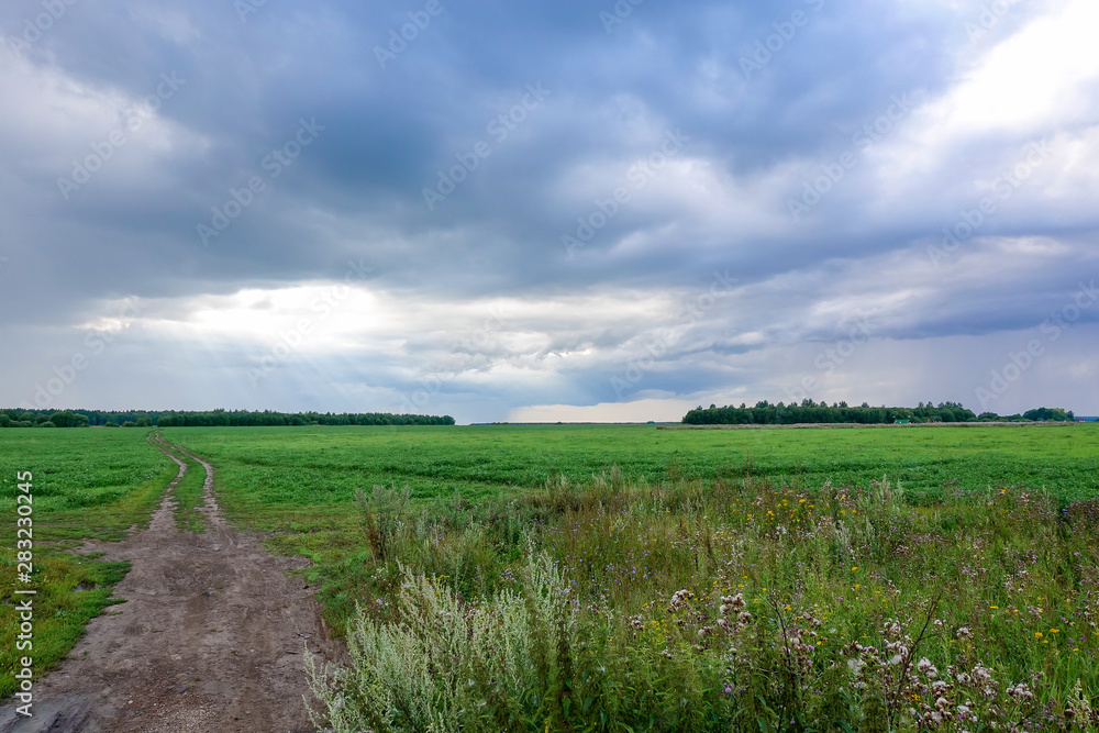 Obraz premium Landscape with thunderclouds over a green field. Russia Moscow region