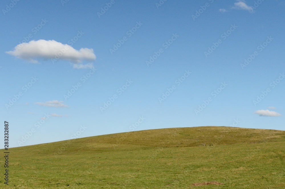 Fototapeta premium Russia. Western Siberia. The foothills of the Altai mountains