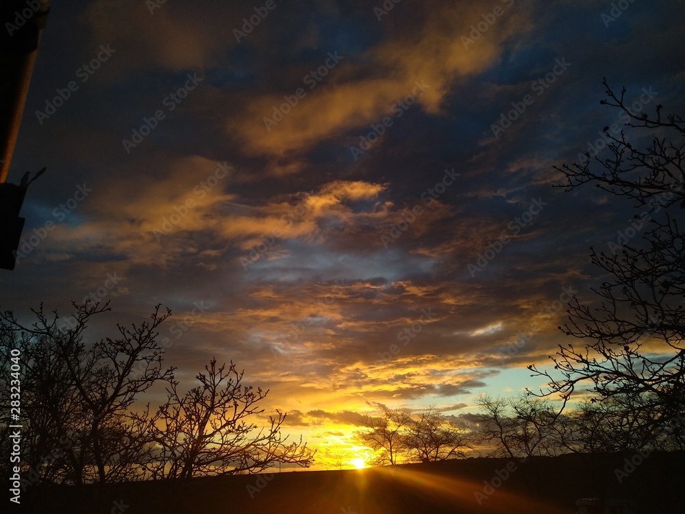 Naklejka premium sunset in forest