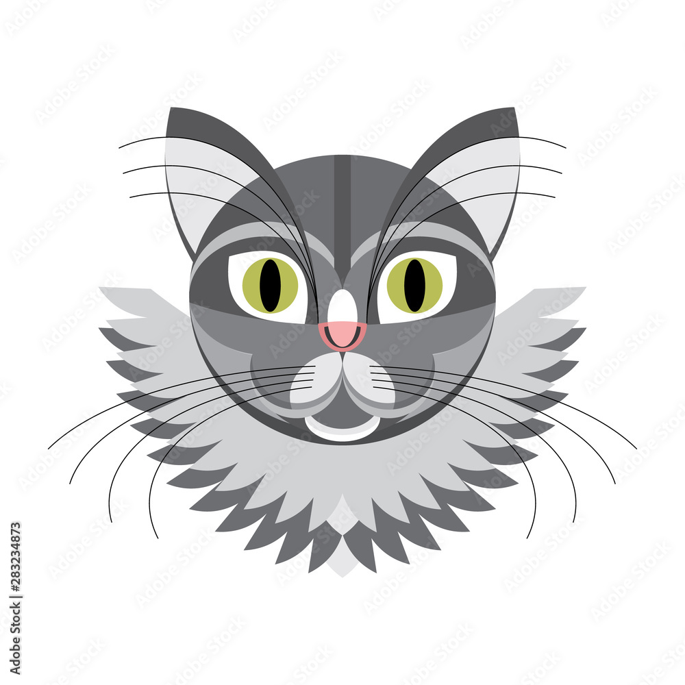 Face gray cat