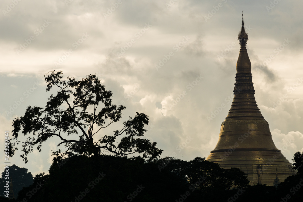 view of silouhette top of shwedagon pagoda myanmar with clouds and tree