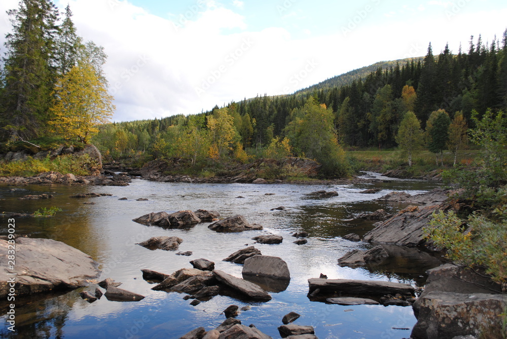 Obraz premium River with stones and trees at the sides