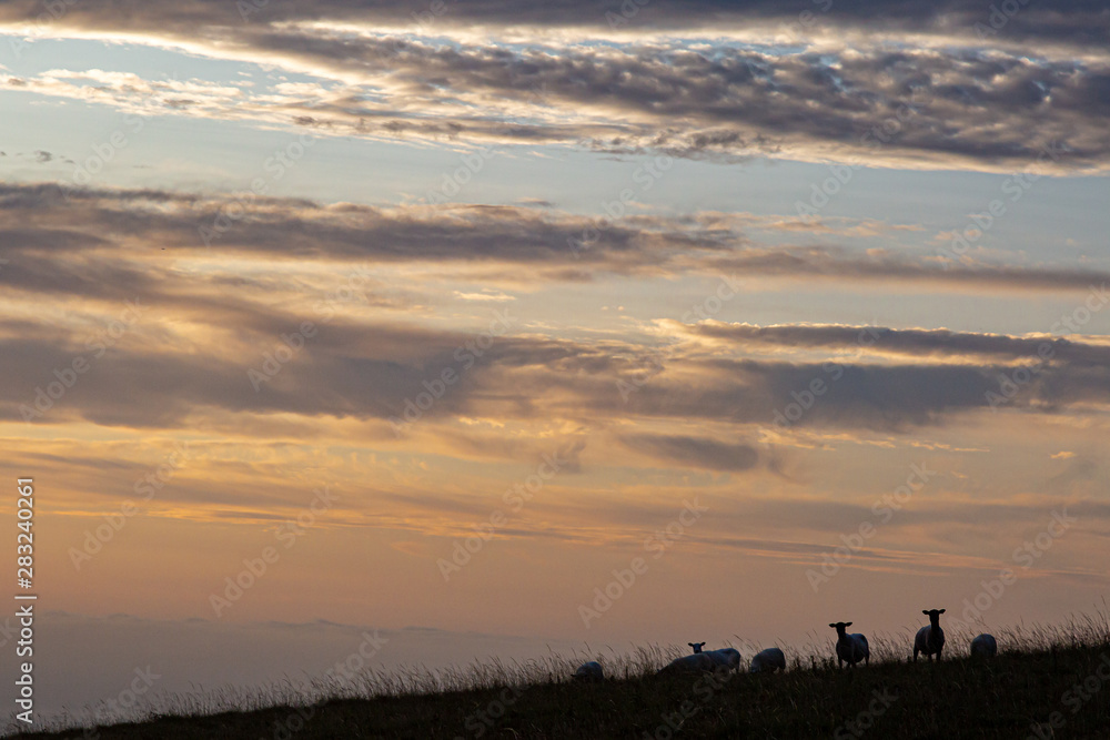 Sunrise at Ditchling Beacon