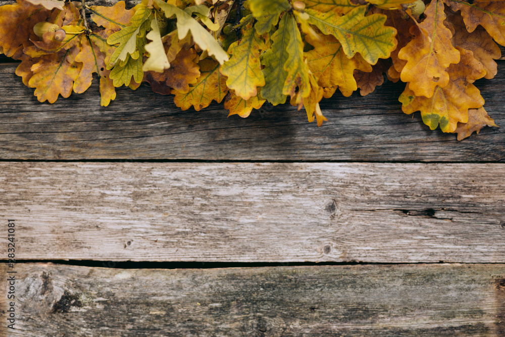 Autumn background of fall oak leaves on the wooden board, top view. Copy space. Space for text. Thanksgiving concept. Toned photo. Autumn background of fall oak leaves on the wooden board, top view. Copy space. Space for text. Thanksgiving concept. Toned photo.