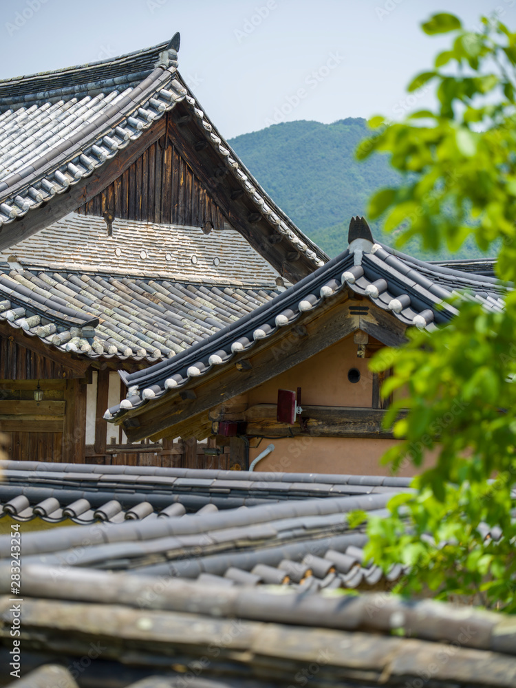 chinese temple roof