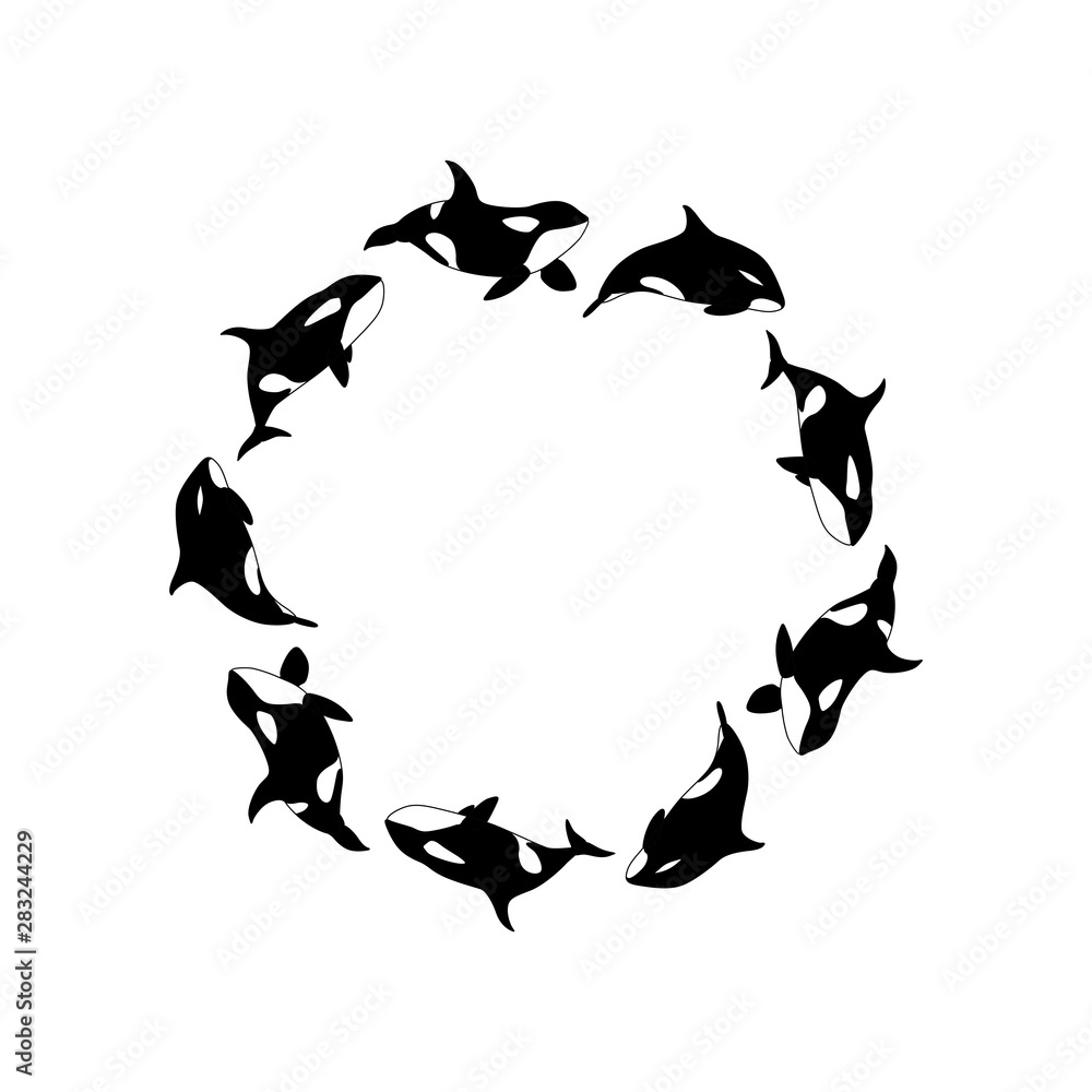 Vector illustration killer whales swimming in a circle. Marine animal Orca round frame on white background