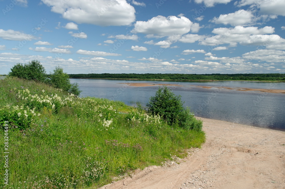 Summer Northern landscape, Pinega river, Arkhangelsk region, Russia
