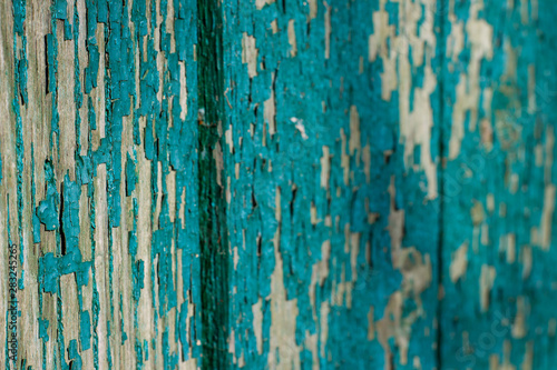 Texture of peeling green paint on the boards, vintage old