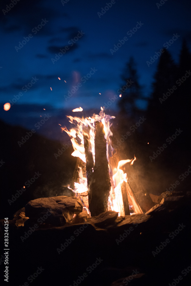 Camping bonfire with yellow and red flames in summer, forest. Copy space.