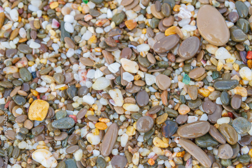 Sea stones on the seashore in the summer Sea stones on the seashore in the summer