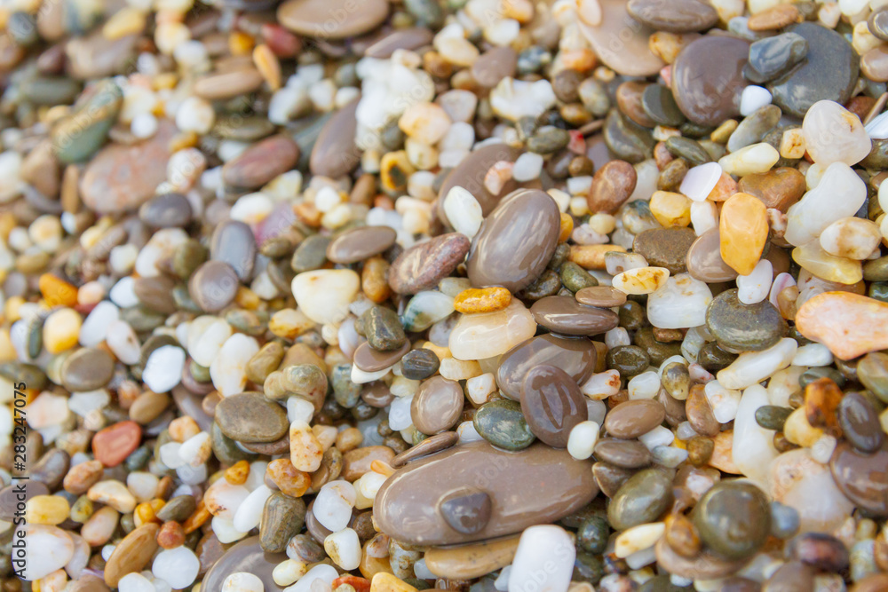 Sea stones on the seashore in the summer Sea stones on the seashore in the summer
