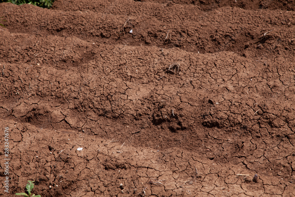 cracked soil from thirst cracked soil from thirst