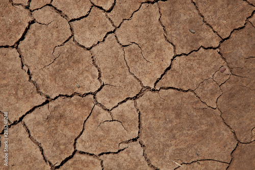 cracked soil from thirst