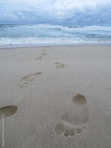 foodprints in the Sand photo