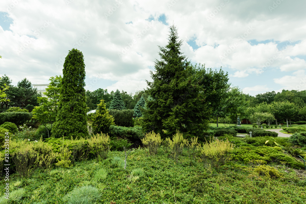 green pine trees and plants on grass against sky with clouds