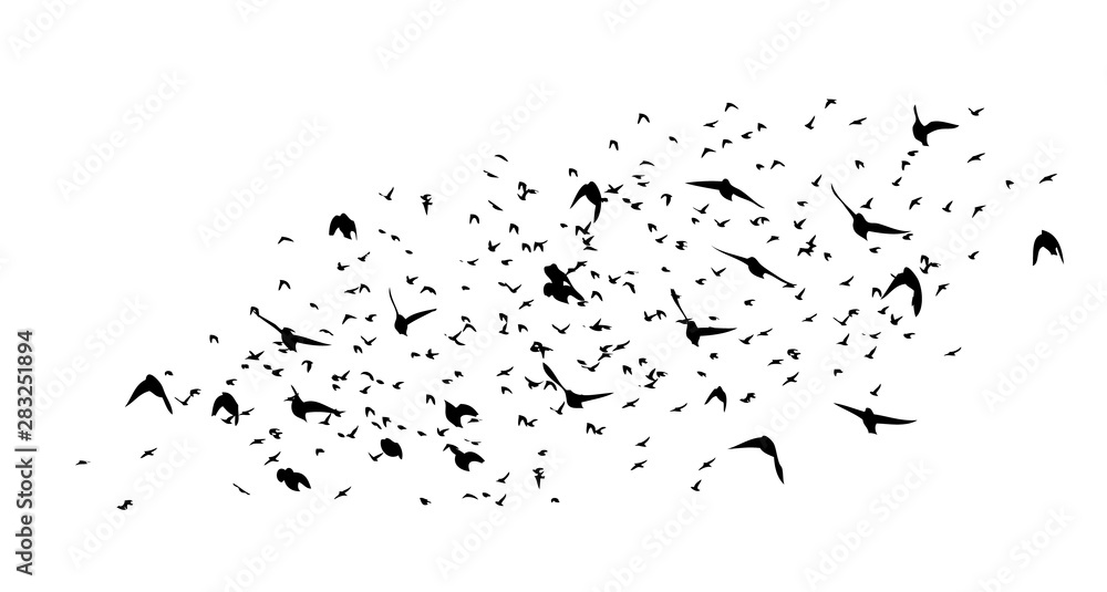 Obraz premium A flock of flying birds. Vector illustration