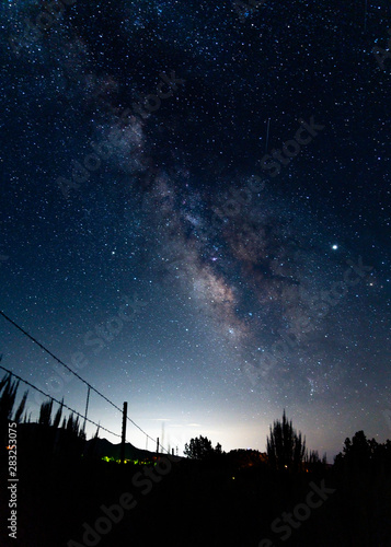 Silhouette sage brush and milky way