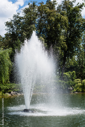 water splash and drops near fountain in pond near trees