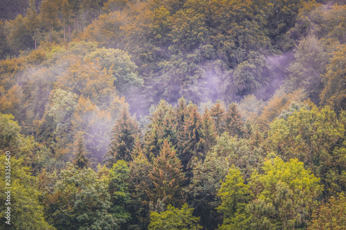 Colorful autumn forest photographed on misty morning from above. Moody landscape. Wood in fall. Hipster vintage retro style. Haze