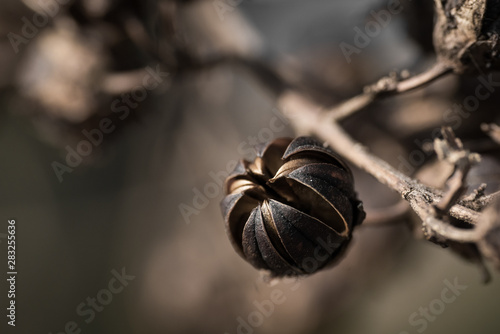 Wallpaper Mural Samen Torontodigital.ca