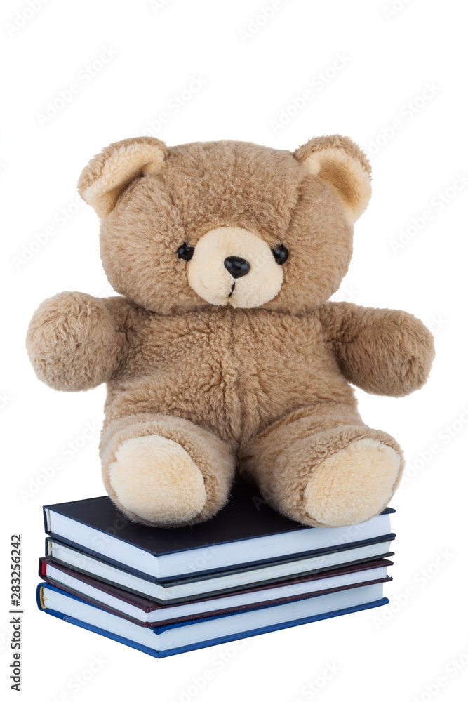 Teddy Bear sitting on books isolated on white background Teddy Bear sitting on books isolated on white background