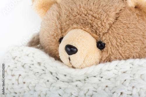 Fluffy teddy bear with winter wool scarf