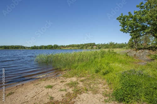 Gorgeous nature landscape on a summer day. Green plants, dark blue lake water surface, green tall trees and blue sky. Amazing nature landscape background. 