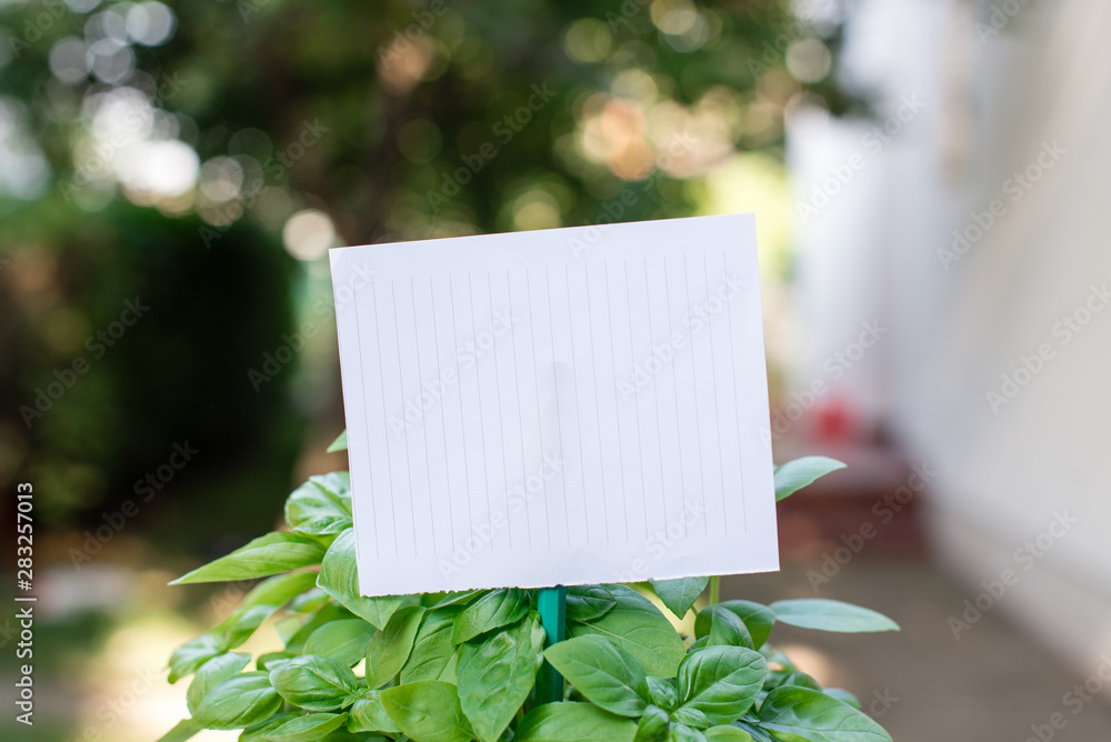 Plain empty paper attached to a stick and placed in the green leafy plants Plain empty paper attached to a stick and placed in the green leafy plants