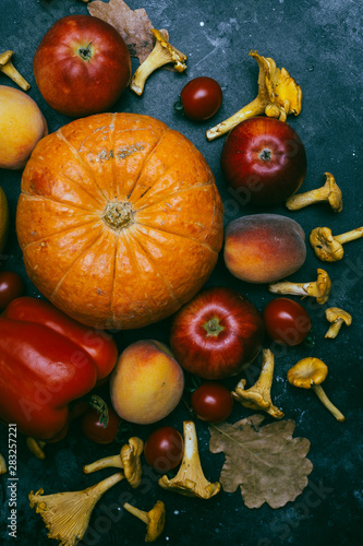 Autumn seasonal vegetables and fruits (pumpkin, pear, apples, corn, chanterelles). Autumn products from the farm, or garden.