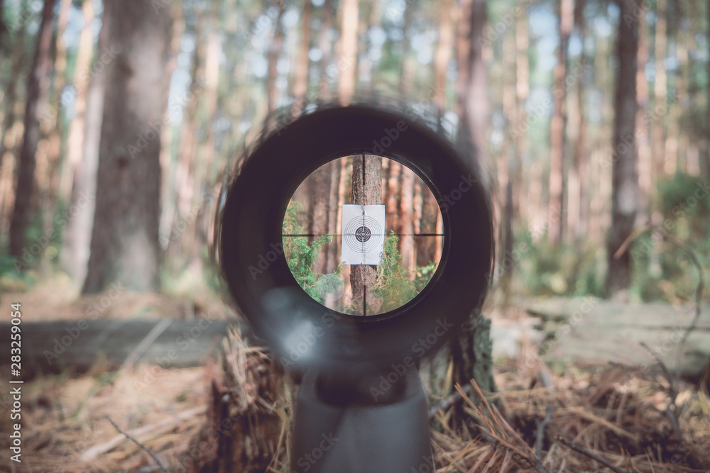 Sniper gun scope view, target - obrazy, fototapety, plakaty 